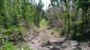 20180223_113741.jpg 20180223_113741.jpg