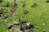 20180225_8943.jpg 20180225_8943.jpg