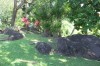 20180225_8944.jpg 20180225_8944.jpg