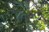20180225_8945.jpg 20180225_8945.jpg