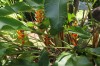 20180225_8954.jpg 20180225_8954.jpg