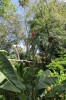 20180225_8958.jpg 20180225_8958.jpg