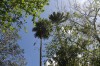 20180225_8961.jpg 20180225_8961.jpg