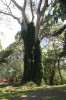 20180225_8965.jpg 20180225_8965.jpg