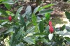 20180225_8970.jpg 20180225_8970.jpg