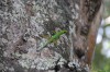 20180225_8973.jpg 20180225_8973.jpg