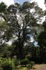20180225_8978.jpg 20180225_8978.jpg