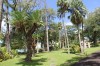 20180225_8984.jpg 20180225_8984.jpg