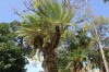 20180225_8985.jpg 20180225_8985.jpg