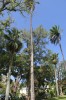 20180225_8986.jpg 20180225_8986.jpg