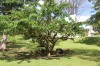 20180225_8989.jpg 20180225_8989.jpg