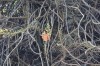 20180225_9062.jpg 20180225_9062.jpg