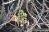 20180225_9065.jpg 20180225_9065.jpg