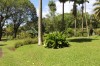 20180225_9069.jpg 20180225_9069.jpg