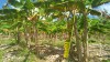 20180226_102917.jpg 20180226_102917.jpg