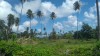 20180226_103209.jpg 20180226_103209.jpg