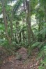 20180226_9209.jpg 20180226_9209.jpg