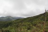 20180226_9217.jpg 20180226_9217.jpg