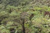 20180226_9230.jpg 20180226_9230.jpg
