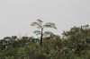 20180226_9231.jpg 20180226_9231.jpg