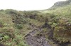 20180226_9232.jpg 20180226_9232.jpg