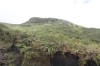 20180226_9233.jpg 20180226_9233.jpg