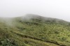 20180226_9241.jpg 20180226_9241.jpg