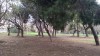 20180317_104329.jpg 20180317_104329.jpg