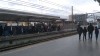 20180317_124221.jpg 20180317_124221.jpg