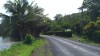 0476.jpg 0476.jpg