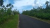 1091.jpg 1091.jpg