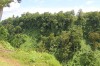 1586.jpg 1586.jpg