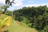1626.jpg 1626.jpg