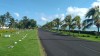 2646.jpg 2646.jpg