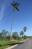 2756.jpg 2756.jpg