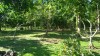 2786.jpg 2786.jpg