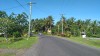 2956.jpg 2956.jpg
