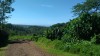 3226.jpg 3226.jpg