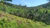 3231.jpg 3231.jpg
