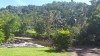 3361.jpg 3361.jpg