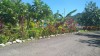 3426.jpg 3426.jpg