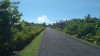 3546.jpg 3546.jpg