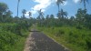 3626.jpg 3626.jpg