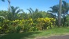 3776.jpg 3776.jpg