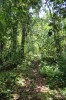 3786.jpg 3786.jpg