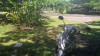 3826.jpg 3826.jpg