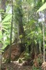 3851.jpg 3851.jpg