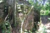3856.jpg 3856.jpg