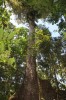 3861.jpg 3861.jpg