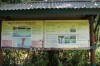 3881.jpg 3881.jpg